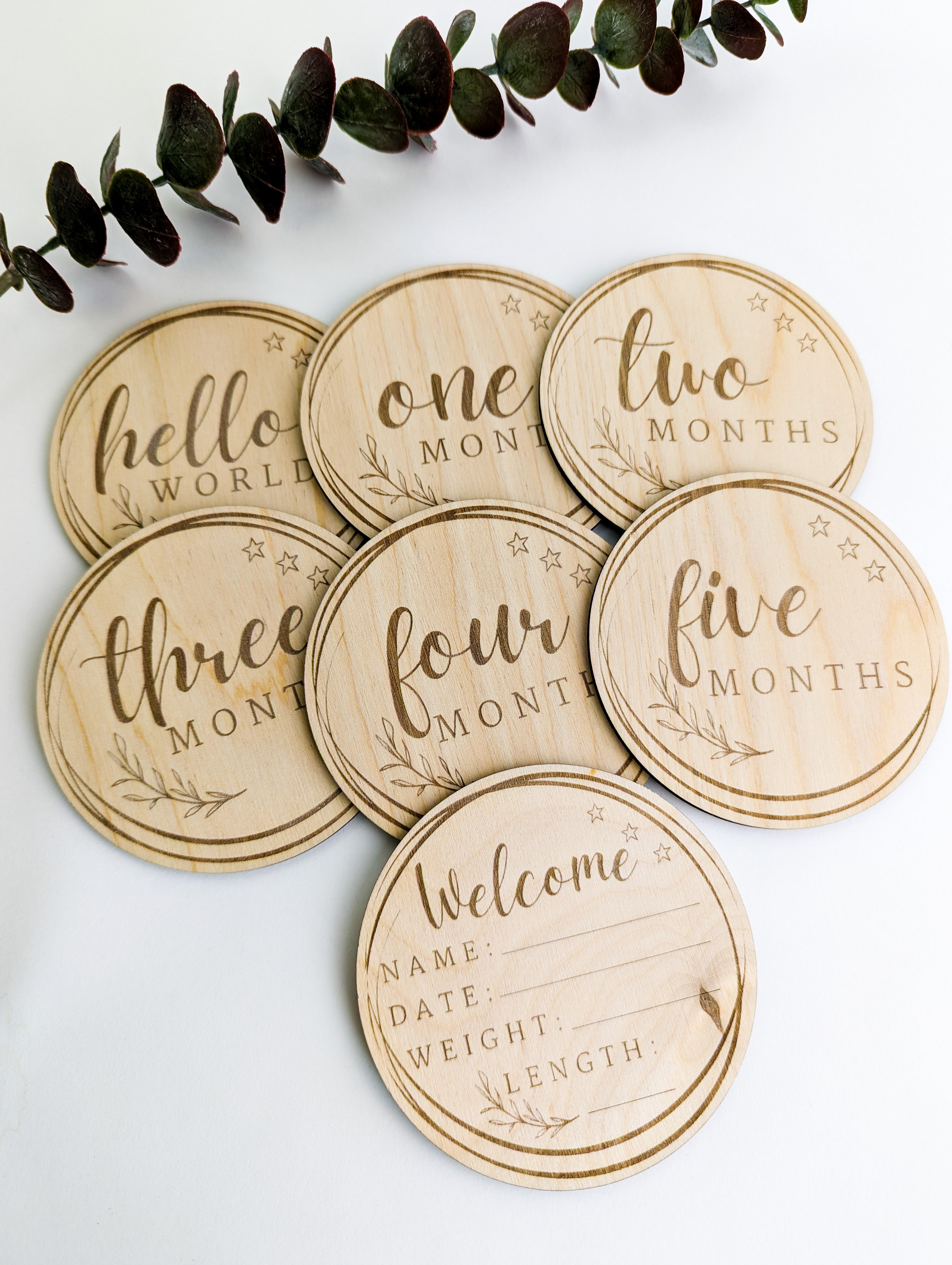 Baby Milestone Discs: Set 2