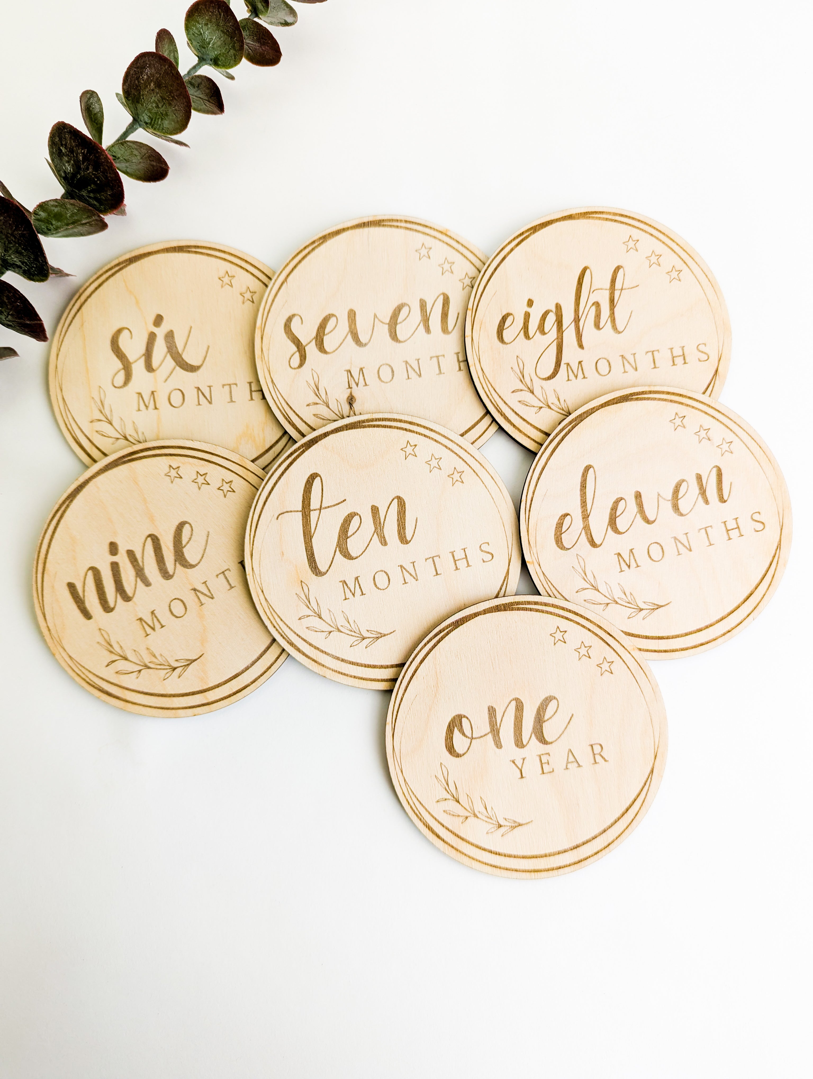 Baby Milestone Discs: Set 2