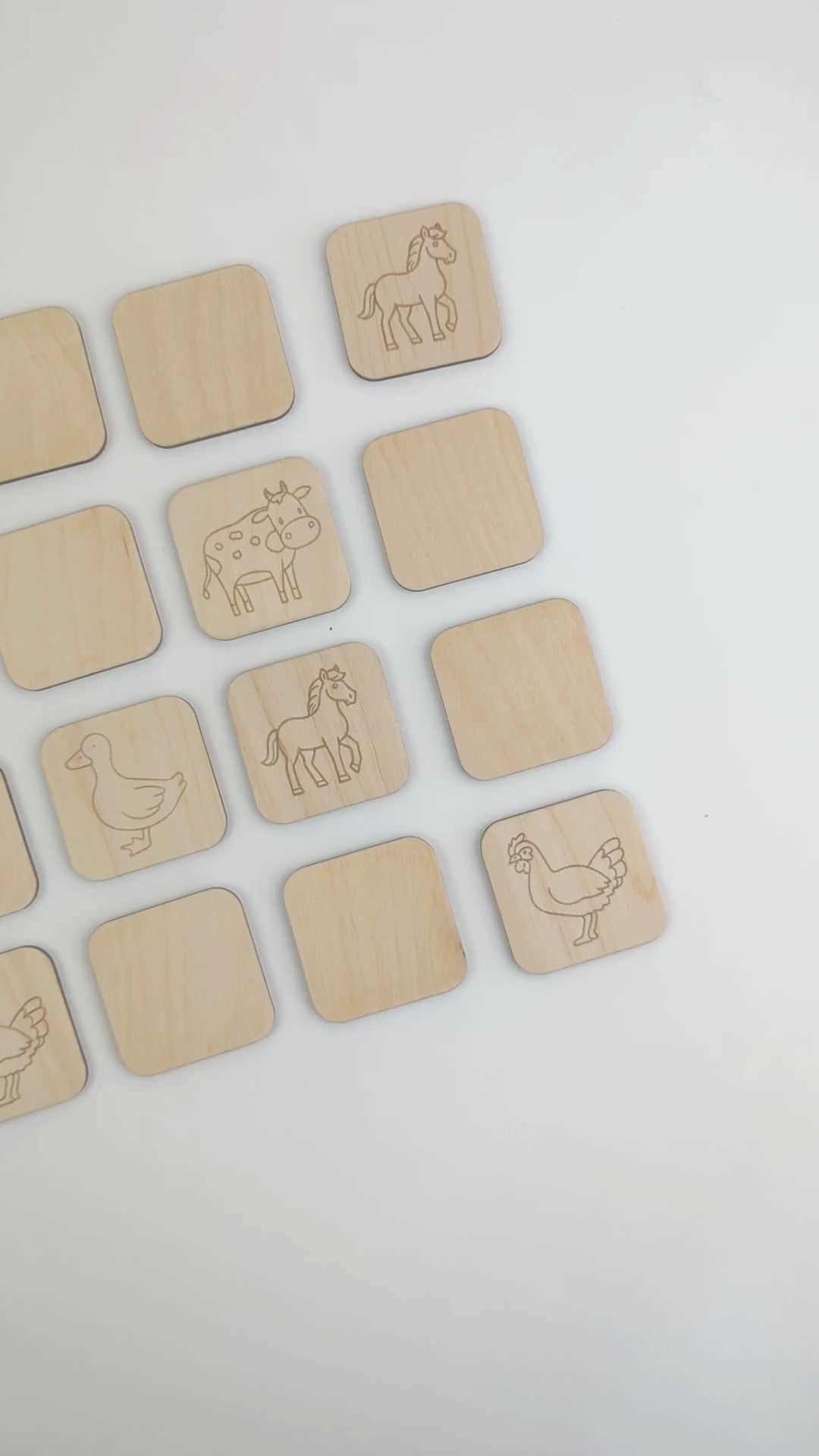 Matching Memory Game: OCEAN