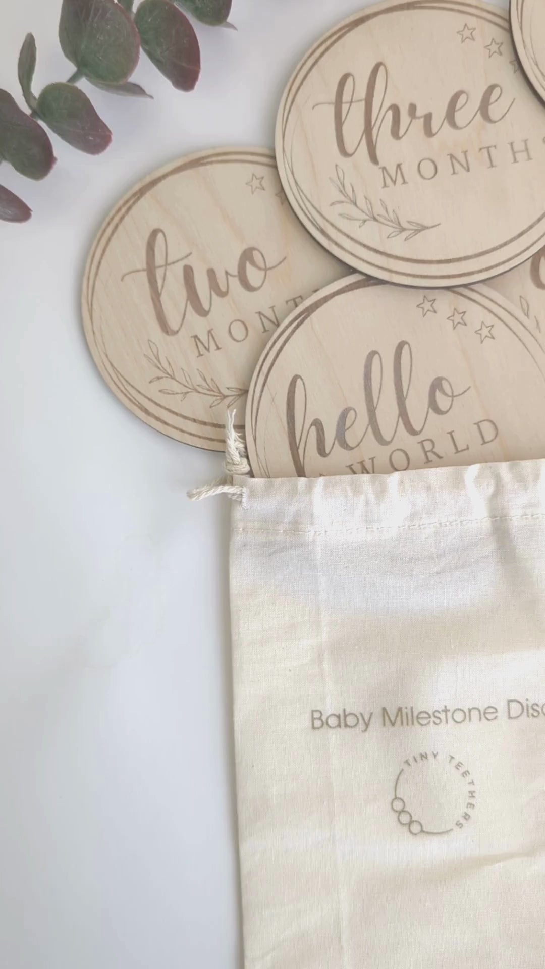 Baby Milestone Discs: Set 2