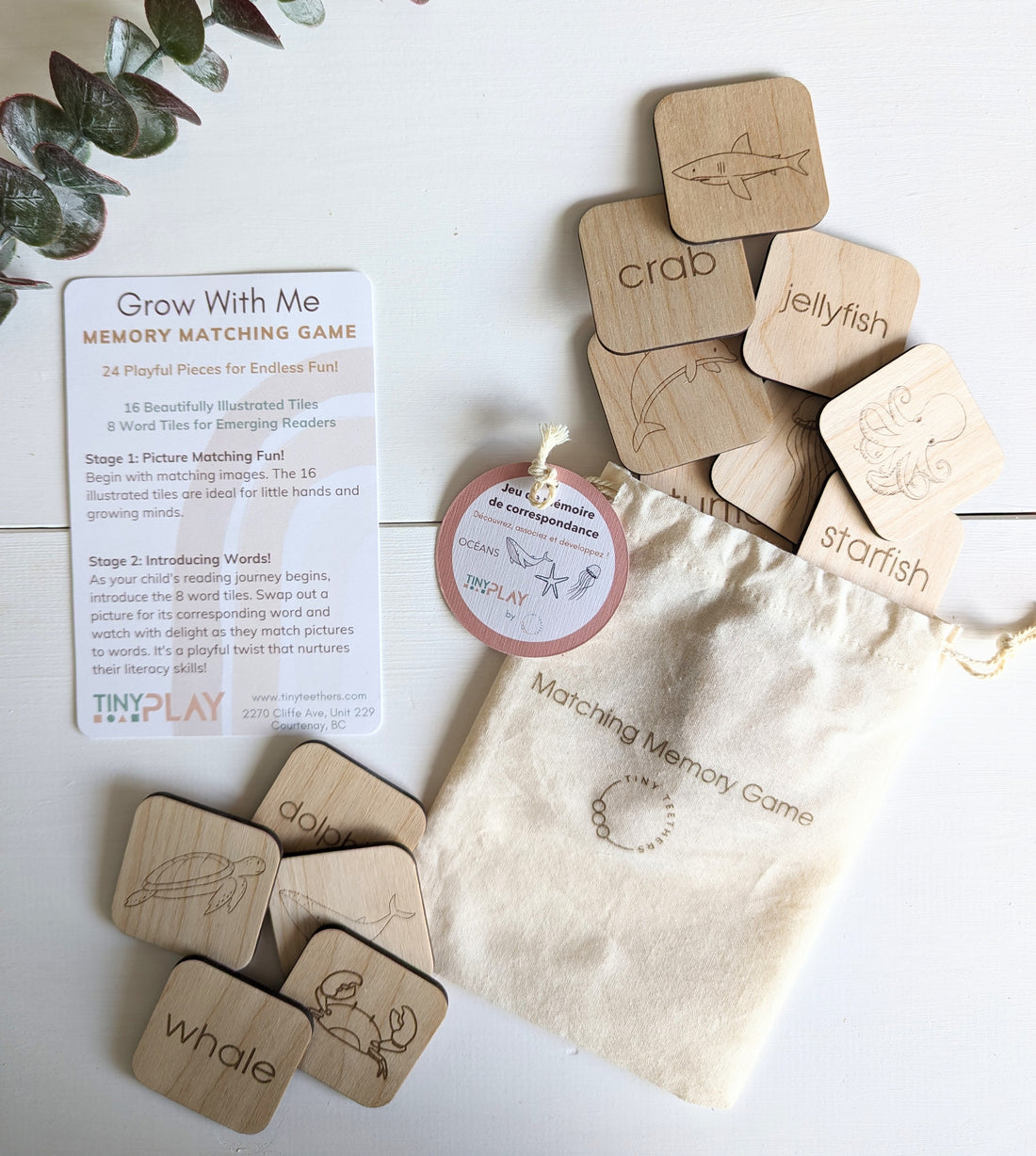 Matching Memory Game: OCEAN - Tiny Teethers